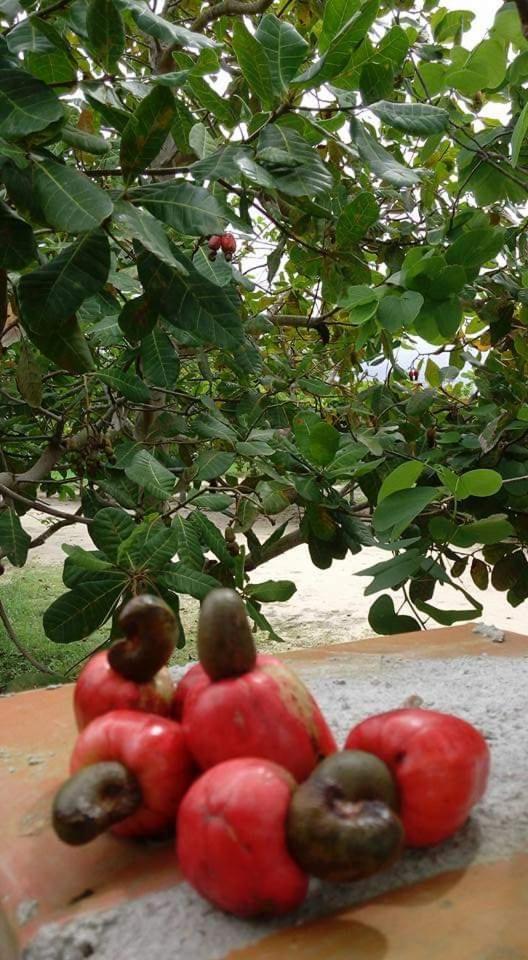 Casa Na Praia Com Piscina Costa Dourada Εξωτερικό φωτογραφία